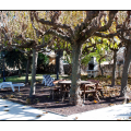 Image1 Image1